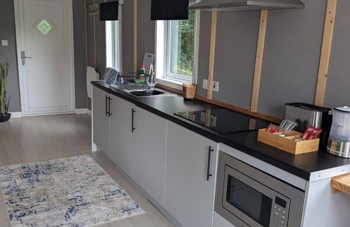 Llanfair Caereinion Cabina | Tranquil Cabin Retreat in Welshpool
