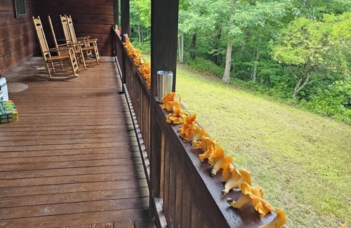 Blue Ridge Cabina | Tranquil cabin with AC in charming Blue Ridge