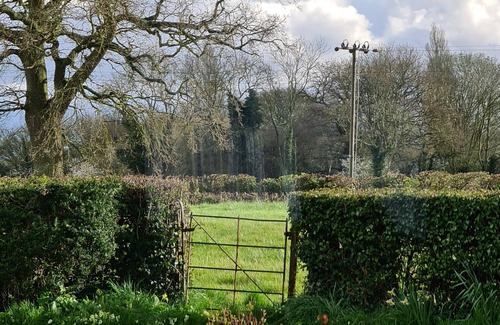 Saxmundham Cabaña | Tranquila cabaña contigua granja rural a 5 millas de la costa de Suffolk