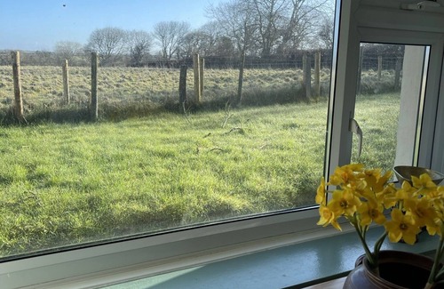 Blaencelyn Cabaña | Tranquil country cottage 5 minute drive to beach