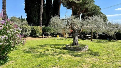 Passignano sul Trasimeno Apartamento | Tranquil location with views of Lake Trasimeno! -