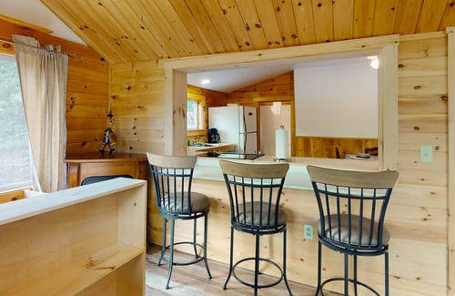 Belfast Cabina | Tranquil lake view cabin with fireplace, gas grill, WiFi, smart TV, & deck