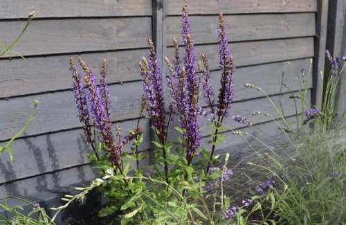 Summertown Apartamento | Tranquil Little Hide-Away in Oxford with Private Garden