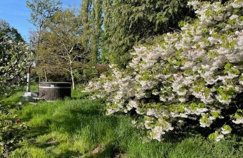Bromsash Casa | Tranquil Luxury Glamping Escape in Ross-on-Wye 6