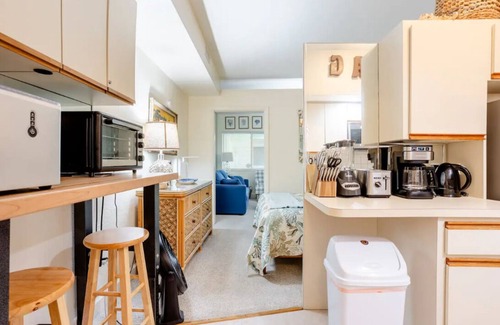 Pass-a-Grille Historic District Condominio | Tranquil setting one bedroom condo on Pass a grille beach