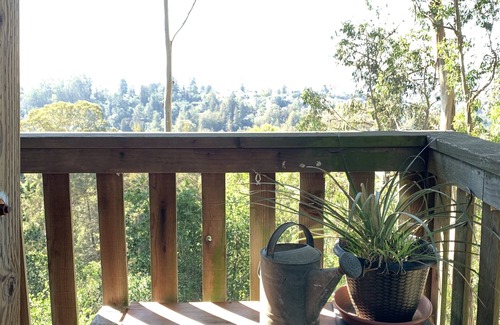 Piedmont Pines Apartamento | Tranquil Treehouse Studio