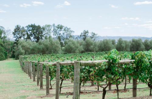 Luskintyre Casa | Tranquil Vale Vineyard