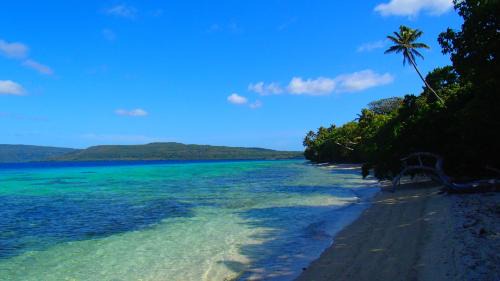Moso Island Complejo | Tranquility Island Eco Dive Resort