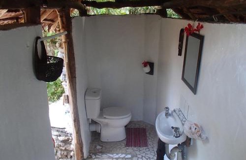Moso Island Complejo | Tranquility Island Eco Dive Resort
