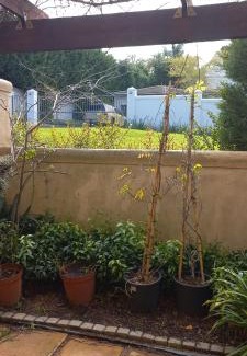 Somerset West Apartamento | Tranquility Studio Apartment