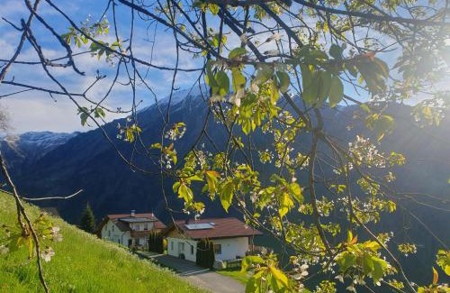 Vallarga Apartamento | Tratterhof Apt Astjoch