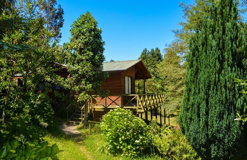 Pucon Cabina | Traumaco Lodge