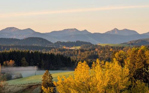 Buchenberg Apartamento | Traumhafter Bergblick im Allgäuer Luftkurort