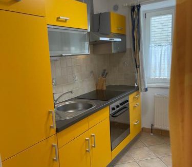 Bad Ischl Apartamento | Traunkai Apartments - Zimnitz Blick