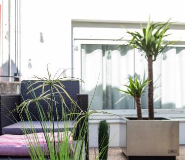 La Xerea Apartamento | Travel Habitat Ático Calle Comedias