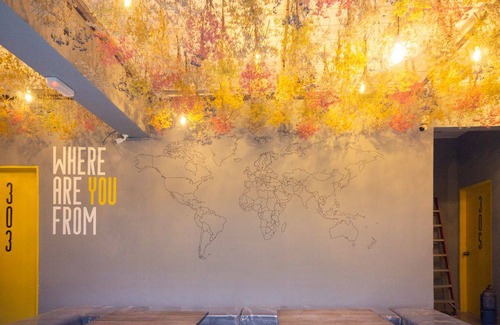 Tanah Rata Hostal | Traveller Bunker Hostel 1