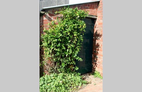 Exmouth Casa | Travershes Holiday Cottage