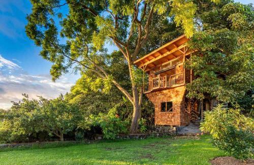 Meerut Casa | travoyoga