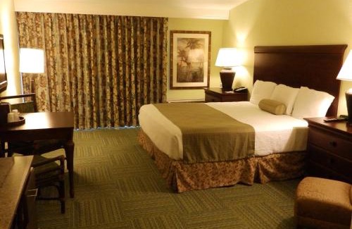 Treasure Island Hotel | Treasure Island Hotel and Marina