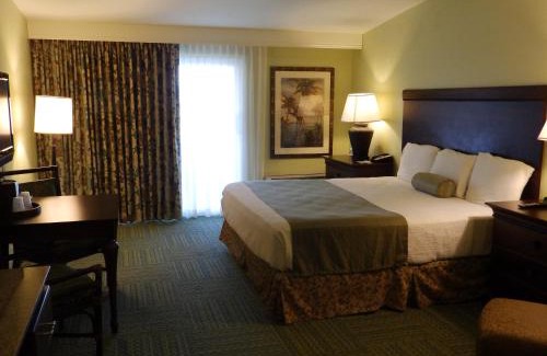 Treasure Island Hotel | Treasure Island Hotel and Marina