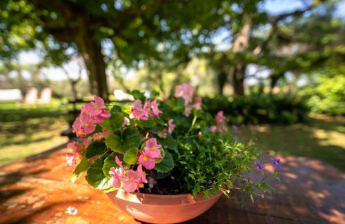 Senigallia Cama Y Desayuno | Trecentolivi B&b
