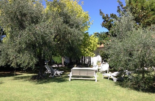 Senigallia Cama Y Desayuno | Trecentolivi B&b