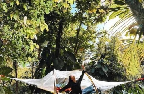 Sabana Alquiler De RV | Tree Camping Tents: Hacienda Monte Rey