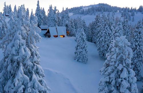 Ambroz pod Krvavcem Casa | Tree House Alpinka Krvavec
