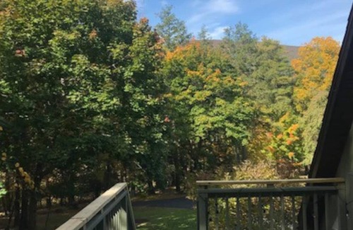 Saugerties Apartamento | Tree-House Apartment in the Catskill Mountains