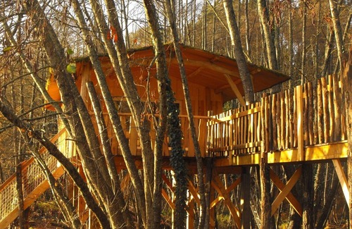 Allons Cabina | Casa del árbol