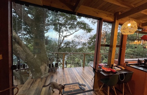 Florianopolis Cabina | bark on the tree in front of the lake