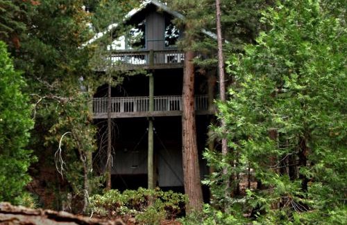 Yosemite West Casa | Tree House Lodge