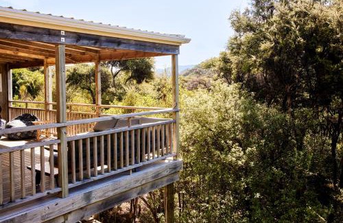 Tryphena Casa | Tree House