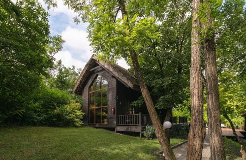 Chisinau Complejo | Tree House Relax Park