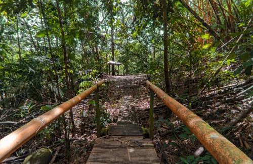 Santa Clara Cabina | Tree Houses Hotel Costa Rica