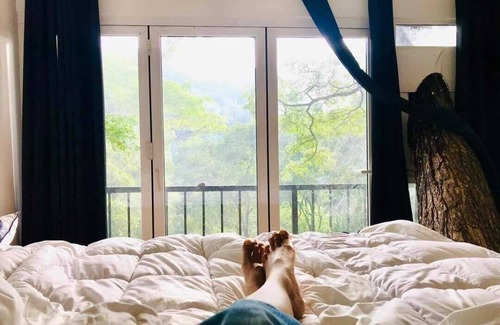 Badulla Complejo | Tree Nature Resort