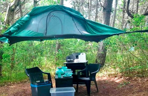 Dranske Apartamento | Tree tent Ostseebreeze - Category 1 No. 8 - Ferienpark Bakenberg