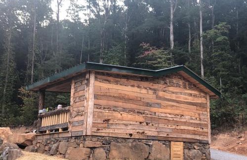 Trenton Casa | Tree top View 15