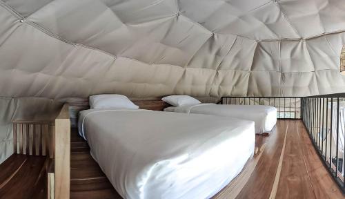 Los Naranjos Hotel | TREE TREK BOQUETE Adventure Park
