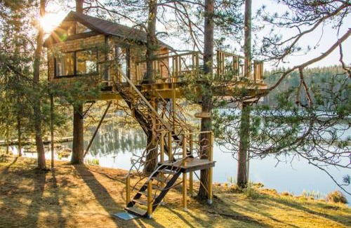 Priekuli Municipality Casa | Treehouse Čiekurs