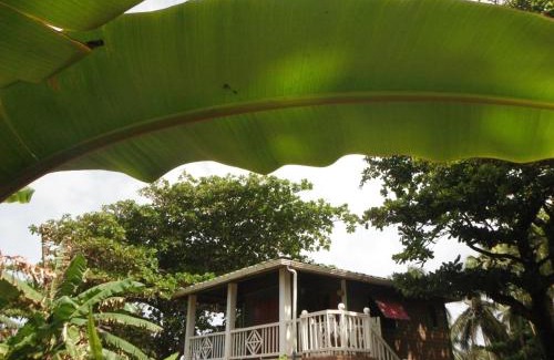 Corn Island Casa | Treehouse Apartment at La Lodge at Long Bay