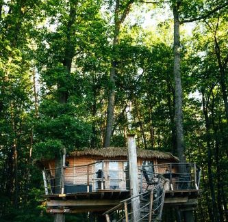 Bojnice Otro | Treehouse Bojnice