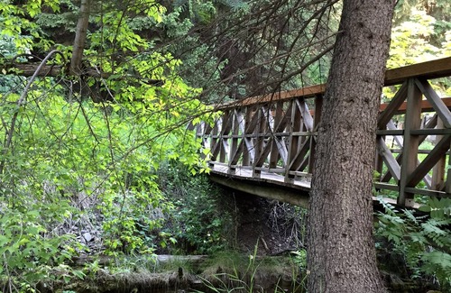 Sundance Cabina | Treehouse by the Stream