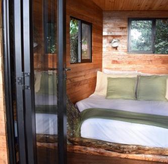 El Cerrito Casa | Treehouse