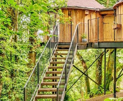 Black Torrington Apartamento | Treehouse In Devon - riverside woodland hideaway