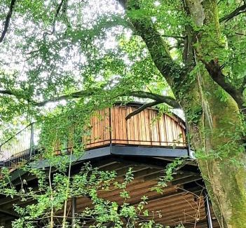 Black Torrington Apartamento | Treehouse In Devon - riverside woodland hideaway