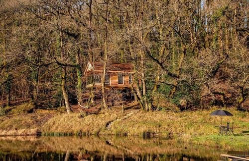Beaworthy Casa | Treehouse in Germansweek near Dartmoor Trails