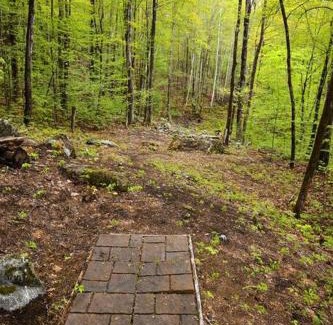 Stoneham Casa | Treehouse in Maine woods- The Grand Oak