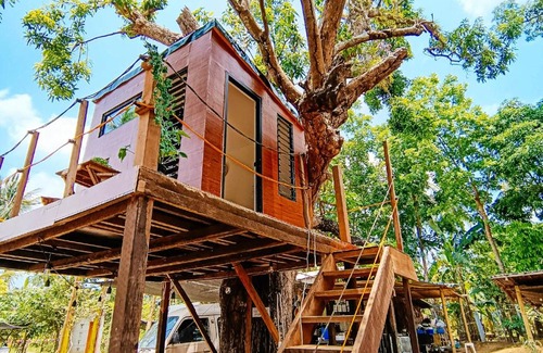 Magallanes Otro | Treehouse