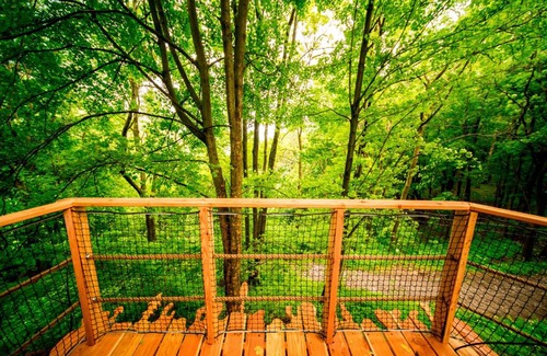 Prosec pod Jestedem Cabina | Treehouse pod Jestedem